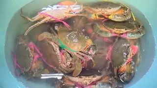 Cold water lng pala ang katapat nyo Mr crab 🦀 🤣🤣🤣