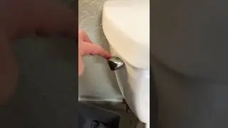 How to flush a toilet