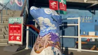 Mo$kki - Young Dolphin (Earth Music Video)