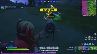 Hunt a wolf - fORTNITE