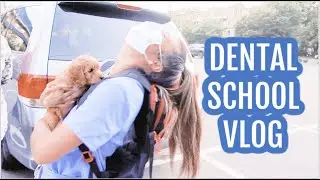 PUPDATE // LauraSmiles