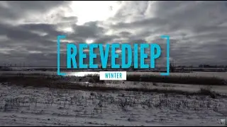 Winter Reevediep