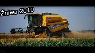 Żniwa Pszenicy 2019 | New Holland TC 4.90 | Zetor 6211 |