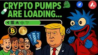 Macro Crypto Update: Bitcoin Pumps, Shutdowns & Stimmy Checks...