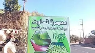 @زيت الزتون معصرة تساوت العطاوية 