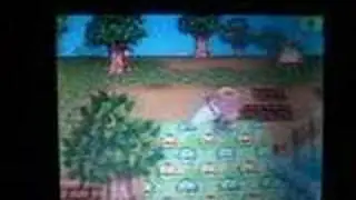 My AC:WW path