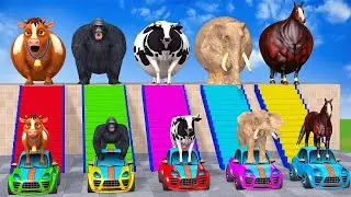 Long Slide Game With Cow Elephant Gorilla Hippopotamus Tiger - 3d Animal Game - Funny 3d Animals