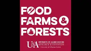 Blackberry Genetics, Remembering Charles Maxwell, and More: May 2025 Arkansas Ag Research Report