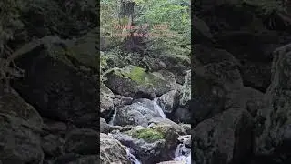 #nature #waterfall #Autumn #hiking #mountains #outdoors&ldquo;The Gentle Apology of Autumn Rain, Jirisan&rdquo;