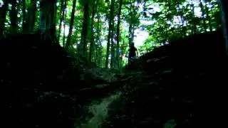 MOV04033