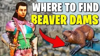 WHERE TO FIND BEAVER DAMS - ARK SURVIVAL ASCENDED - RAGNAROK