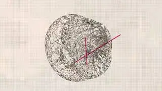 Dwelllll - Ovoid