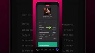Palko for Artists - Boost Now