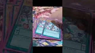Crystal Beast Deck Profile #yugiohgx