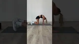 Cat/Cow w/ Knee Lift