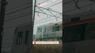Travel Experience in Nagoya - Ise