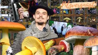 BEST OF PILZE 2022 💪 Die sch&ouml;nsten, gr&ouml;&szlig;ten und seltensten Funde des Jahres 🍀