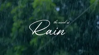 THE SOUND OF  RAIN II CINEMATIC SHORT FILM II CINEMATIC VIDEO II MONSOON II 2022