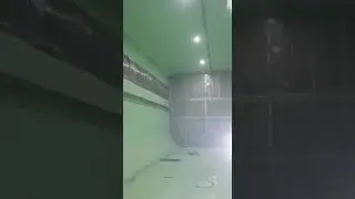 live fish carrier cargo tank chemical cleaning