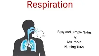 Respiration Nursing Notes | Definition, Types & Normal Rate | GNM BSc Nursing#gnmnursing#bscnursing 