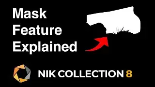 Nik Collection 8 + Photoshop Masks: WHAT YOU MUST DO