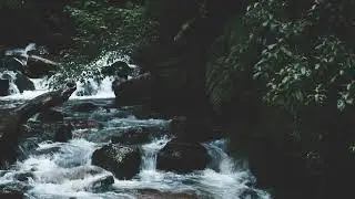 Guided Meditation: RADICAL ACCEPTANCE through COGNITIVE DIFFUSION