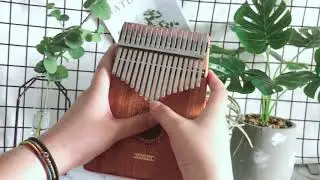 Ashes from fireworks《烟火里的尘埃》by Hua Chenyu-Kalimba Thumb Piano Cover