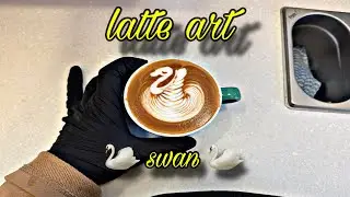 CAFE VLOG | coffee latte art swan #kaijuvlog