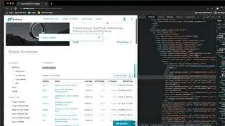 How to get stocks with selenium in python | Not so Pro Python Tutorials