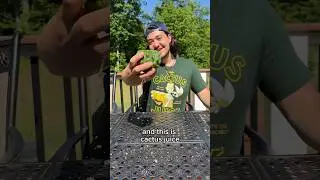 Drink Cactus Juice?!
