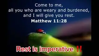 Sunday Reset: with rest,some ASMR,getting creative w/lunch,visiting with an ole friend🐞,and worship