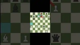 Adolf Anderson Unleashed Deadly Evan's Gambit || Evergreen Chess game || Best Chess game of all time