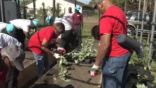 Creating Sustainable Agriculture in Urban Food Deserts