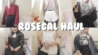 Huge Rosegal.com 🌹Try on Haul + Review