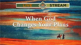 Rock Brook Live Stream | December 14, 2025
