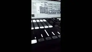 (Untitled) #Omnisphere3 #jungle  #massive #doa
