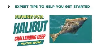 Fishing for HALIBUT? Top Expert Shares Best Techniques