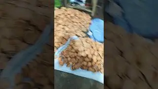 #Headwork#diwali short video #
