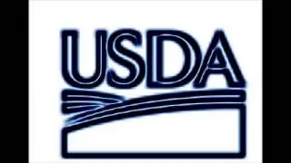 usda rural development direct housing loan overview