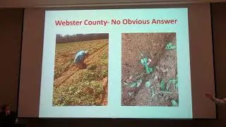 UGA Peanut Production Seminar - Bob Kemerait