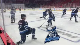 Manitoba Moose Warmup (12/21/22) [4K]