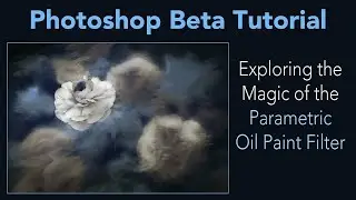 PHOTOSHOP Beta (параметрический фильтр масляной краски) Изучаем магию параметрического фильтра масляной краски
