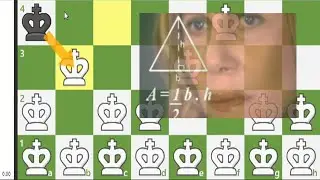 I Broke Stockfish With An illegal Move