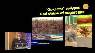 Kevin Hyde: The value of epitypification