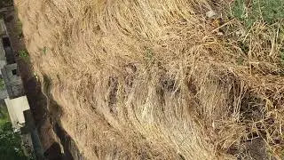 यहां से ख़रीदे वर्मीकम्पोस्ट ! how to buy vermicompost for best price (9953598483)