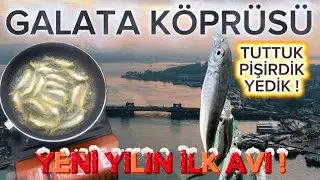 🎣 Köprü Altında İstavrit Keyfi | Tuttuk, Pişirdik, Yedik 🔥GALATA KÖPRÜSÜ İSTAVRİT AVI !