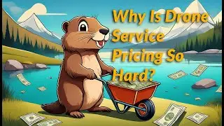 Why Is Drone Service Pricing So Hard?
