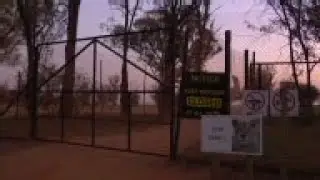 US woman killed in lion attack