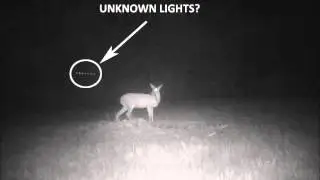 GAME CAMERA PHOTO SEQUENCE SHOWING UNKNOWN LIGHTS APPEARING & DISAPPEARING. LOCATION IS GATES, NC.