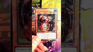 Yu-Gi-Oh! Fallenstellerin Myrmeleo in Quarter Century Secret Rare